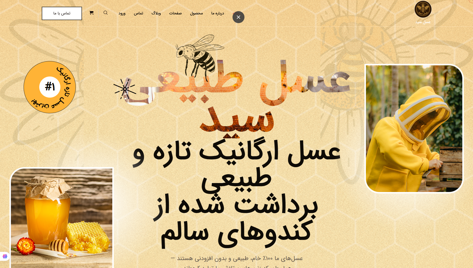 پروژه وب‌سایت